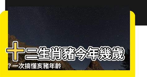 豬年 年份|屬豬今年幾歲 豬年是民國西元哪幾年